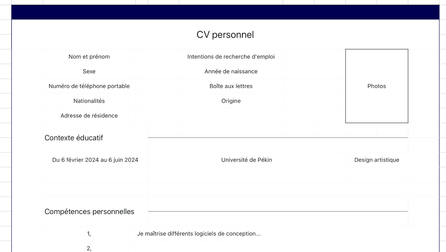 CV personnel concis